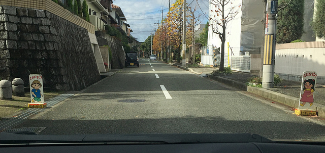 22841535050_284b34931b_z