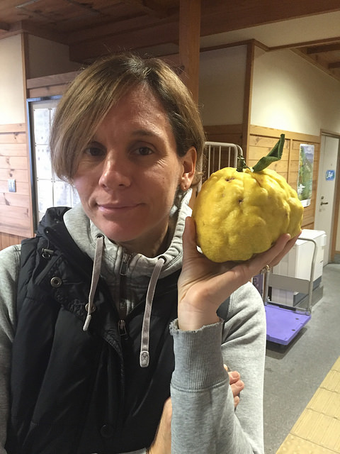 23126918930_fe27ceb735_z