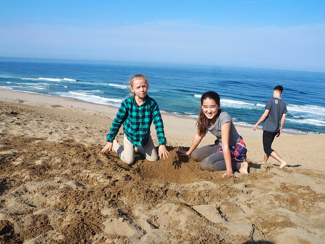 23322717156_0737827198_z