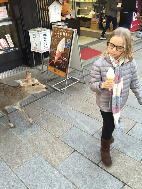 23889685536_38f5e2b9d8_z