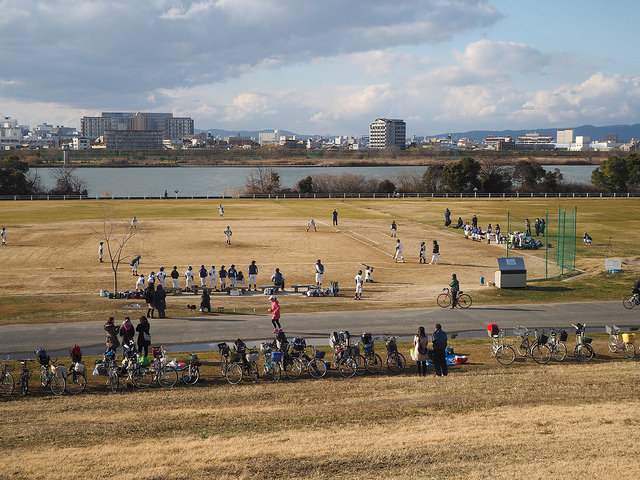 25059878942_44573586c1_z