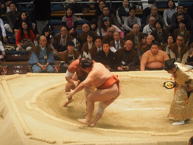 25769042202_7f581ce258_z