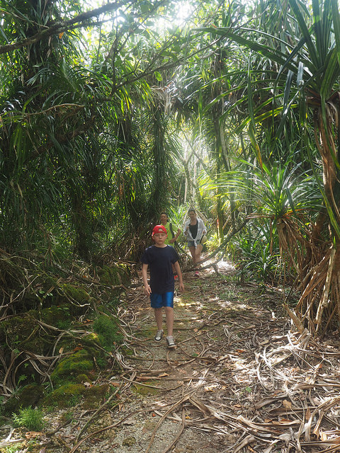 25804530090_0e5126c617_z