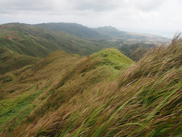 26077763215_e53ff880c2_z