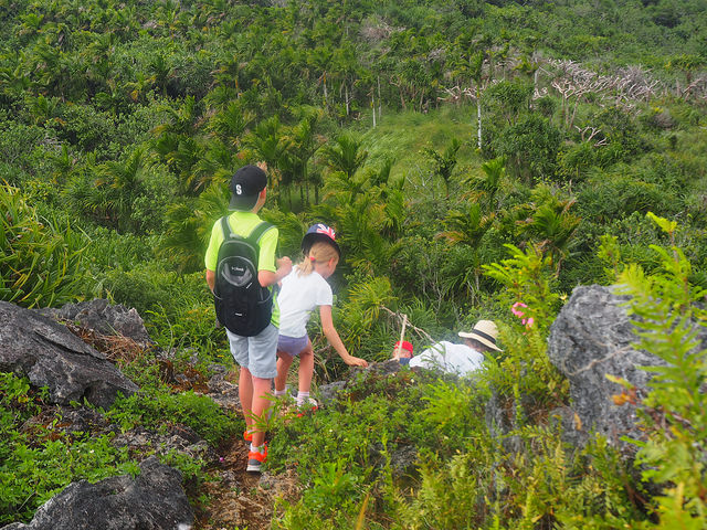 26077822765_30c371a022_z