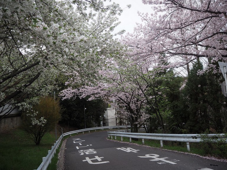 25987154430_09eefc4cc9_c