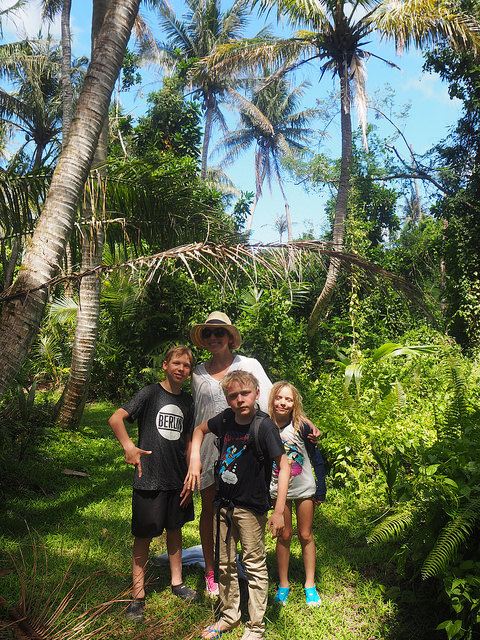 26118573805_445f0e176f_z