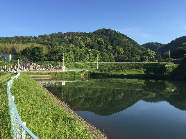 26866938650_3e5b9d9c06_z