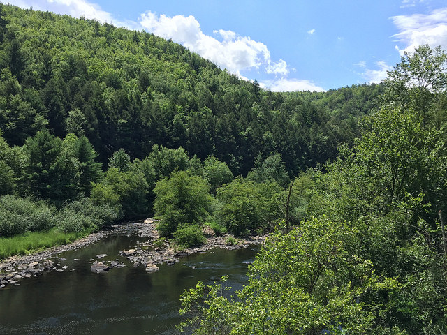 28244256562_dc8f68ba26_z