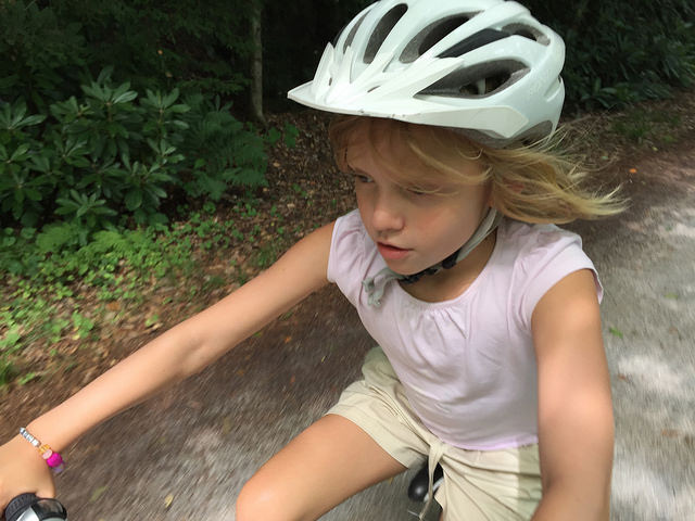 28347606995_47bc7995e6_z