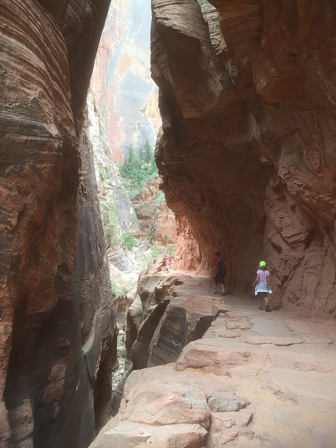 28129377803_9a43f10613_z