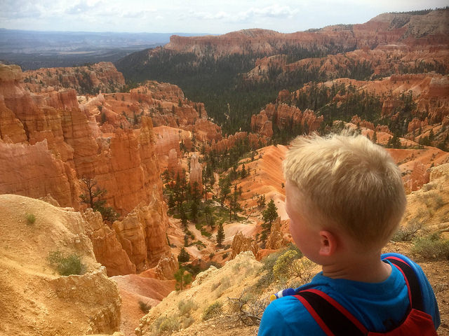 28793868806_43ed39dc3b_z