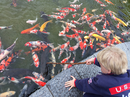 30773900236_1de7d40853