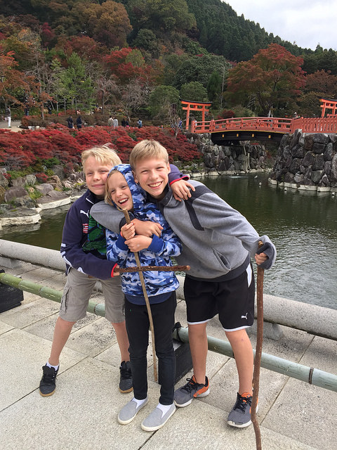 30773900506_0f23776fa3_z