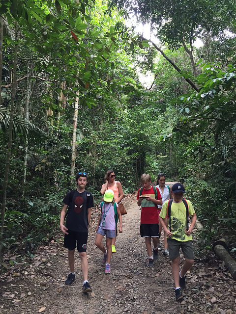 30981513394_0f87335504_z