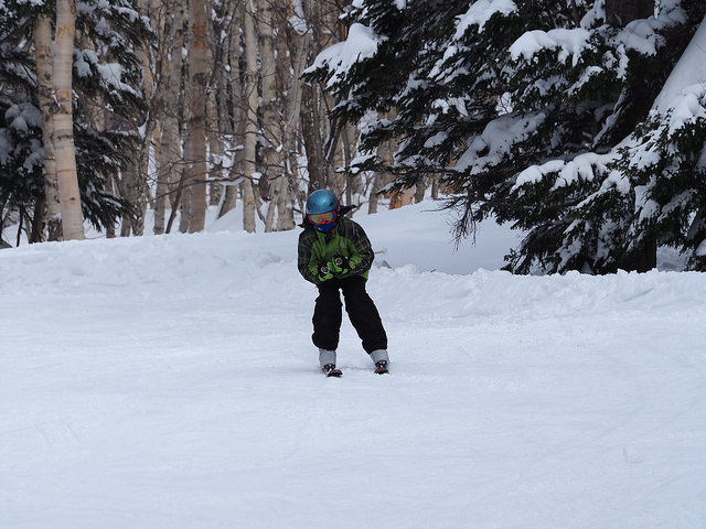 33474232412_4914081f62_z