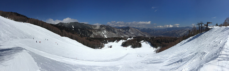 33516443475_a98a5f694e_c