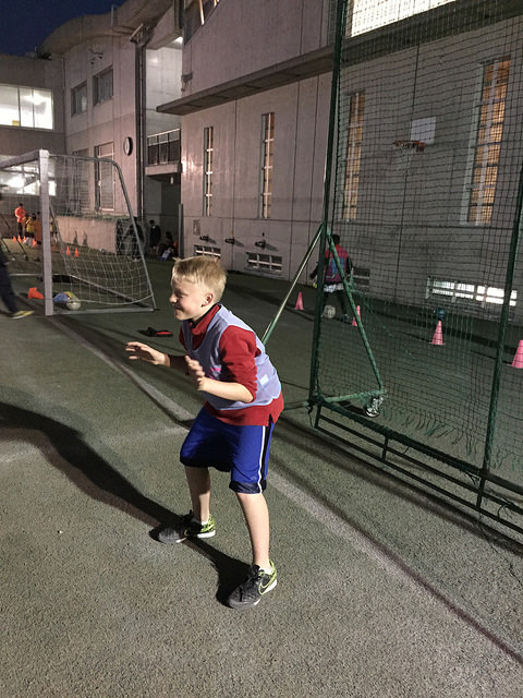 33107810433_d55f1da632_z