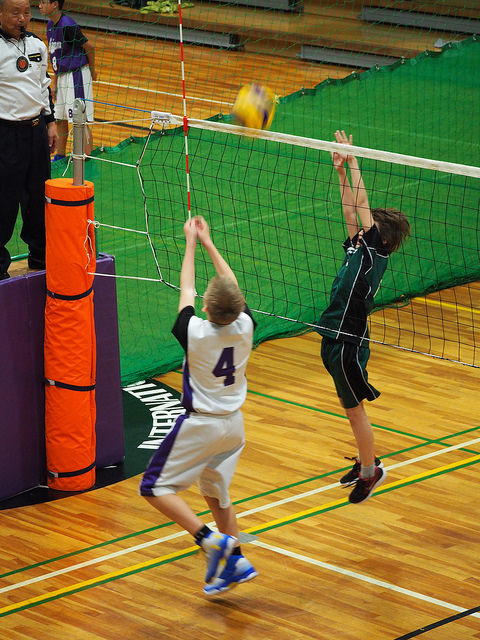 33535199880_7b528f62e4_z