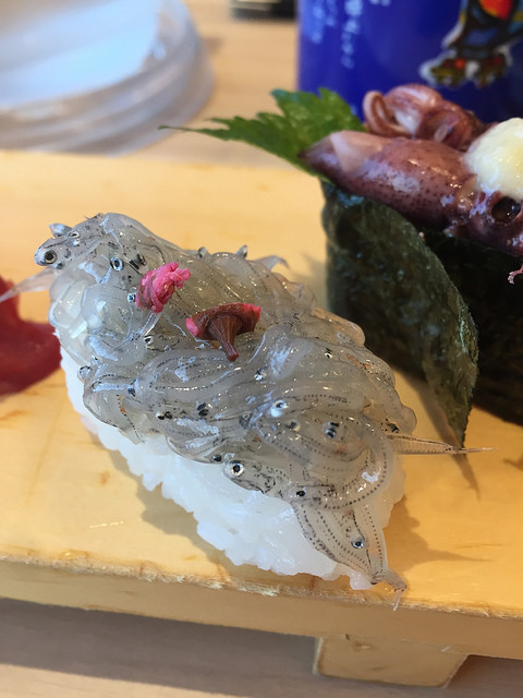 33675064210_3cf91d31a1_z