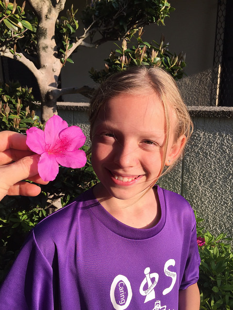 34364216396_f0c3b7d22e_z