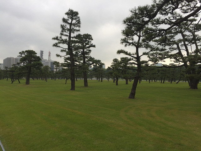 34651065911_bbb731f8e9_z