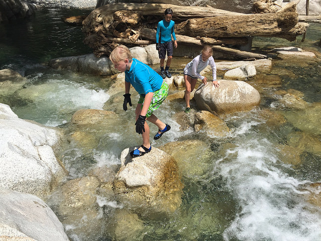 36111912113_835c33d418_z