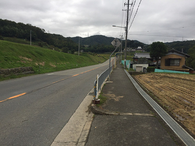 37116975104_bf664557fa_z