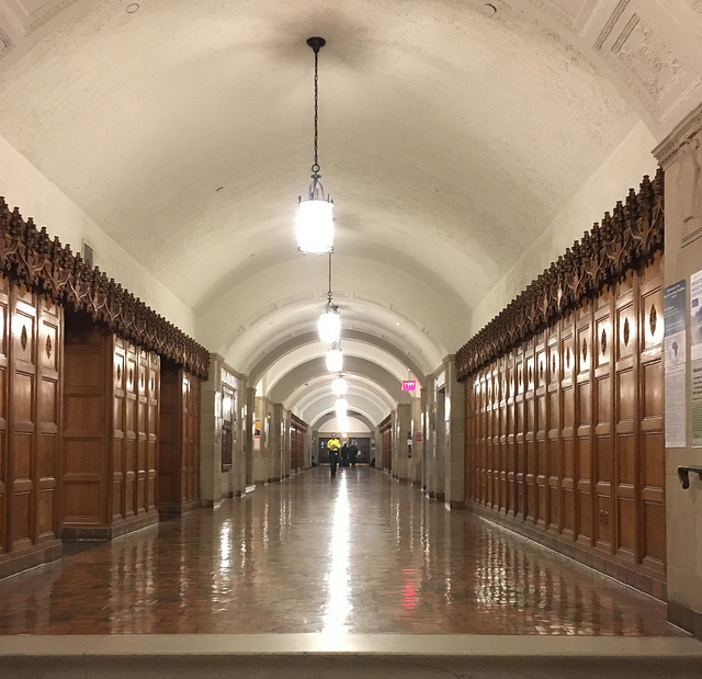 37587467525_008b2359e8_z