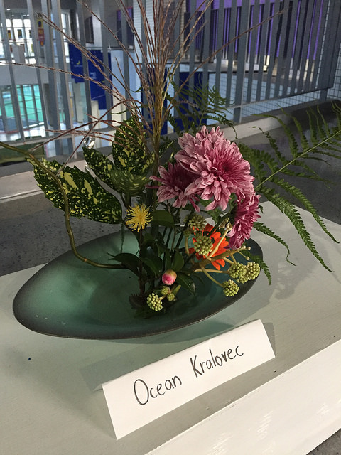 38209965471_167e63c86f_z