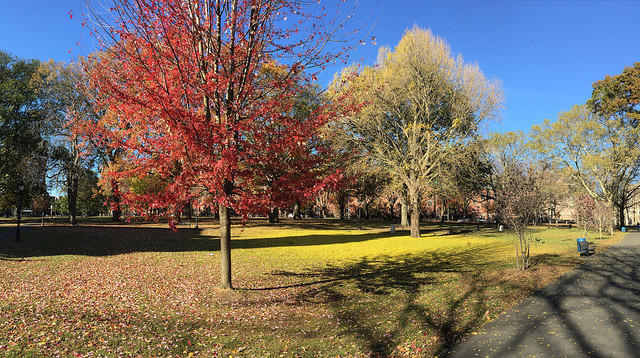 38351309611_509cd2e8ec_z1