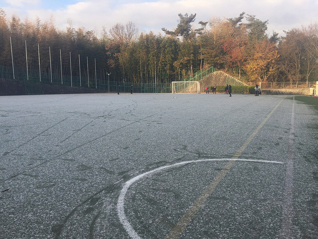 39066696652_bdec97db83_z