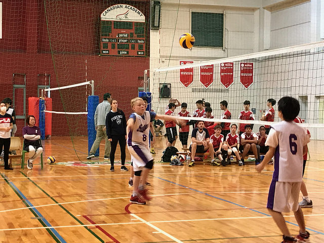 40792198184_6c11a9b9ec_z