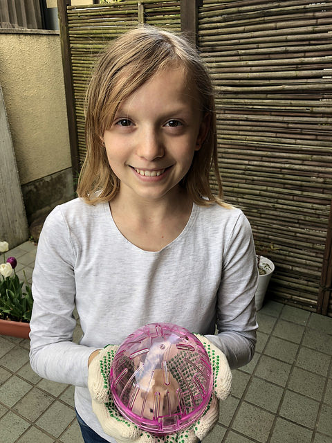 41505490621_e499eb08f3_z