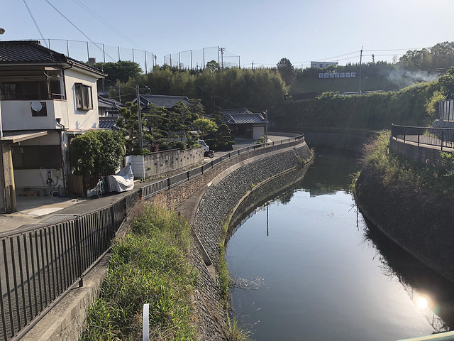 41915143201_d685d9d819_z