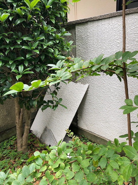 42916499302_e0a5bdbfab_z