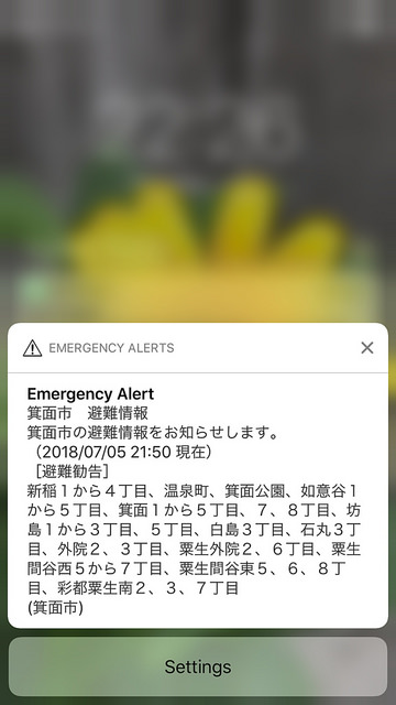 28355211637_ec5719145b_z