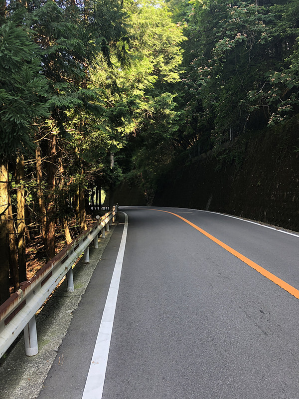 29606194588_ab649c2d5e_c