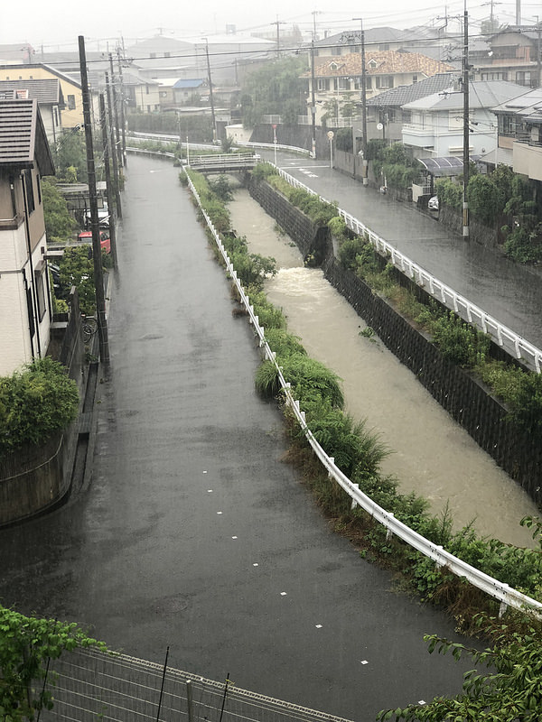 42341692115_23578de32c_c