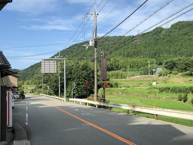 43140100231_6475491e01_c