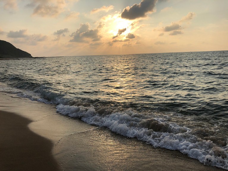 43680183091_500bb8c69c_c