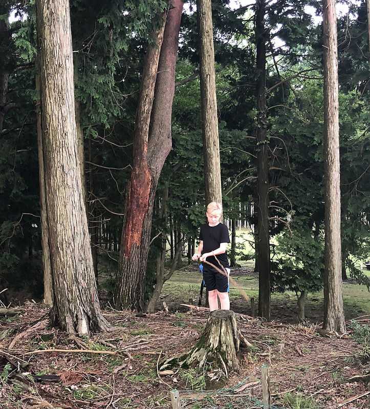 30854795488_dd737bb38f_c