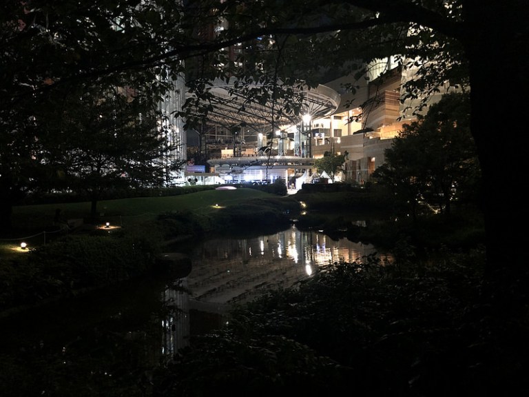 31221206528_7380fdd0aa_c