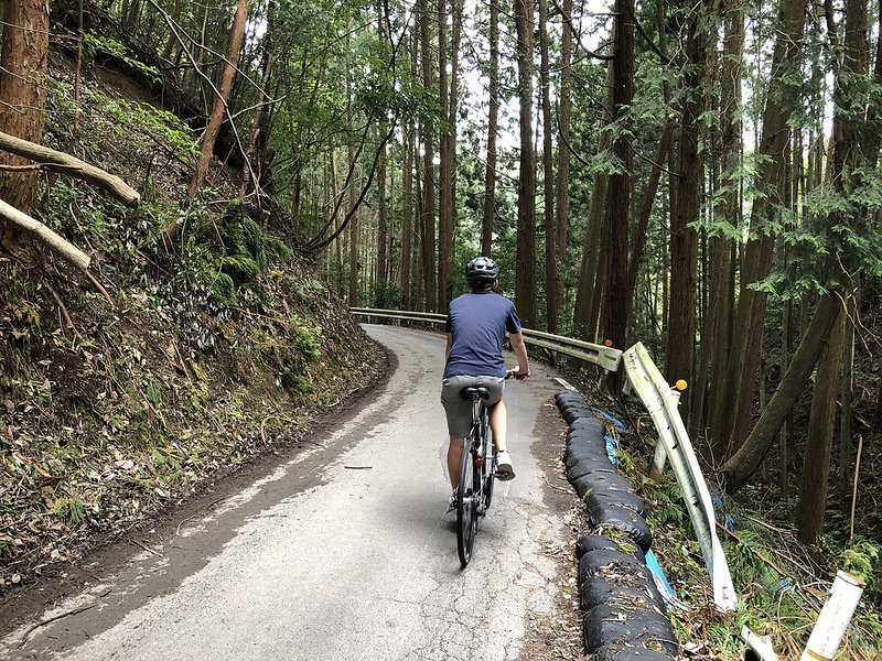 31456098078_0e4af3a18b_c