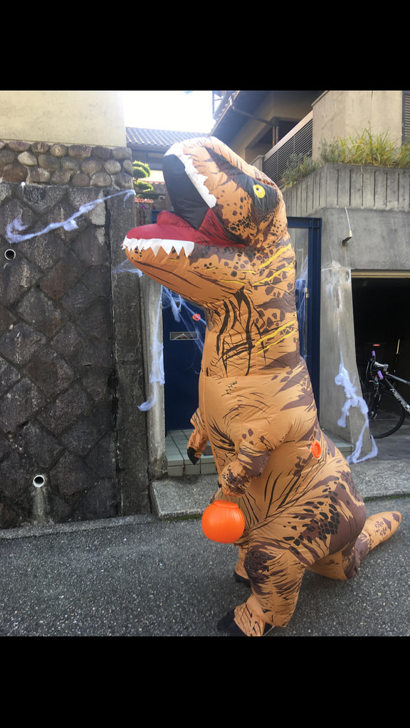 31947217368_84bbe64702_b