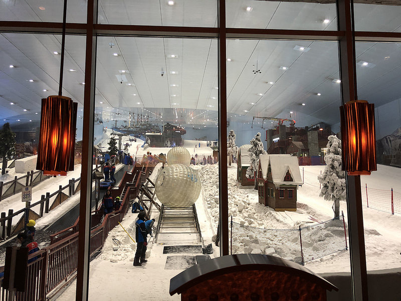 43310057520_a9536ce94b_c