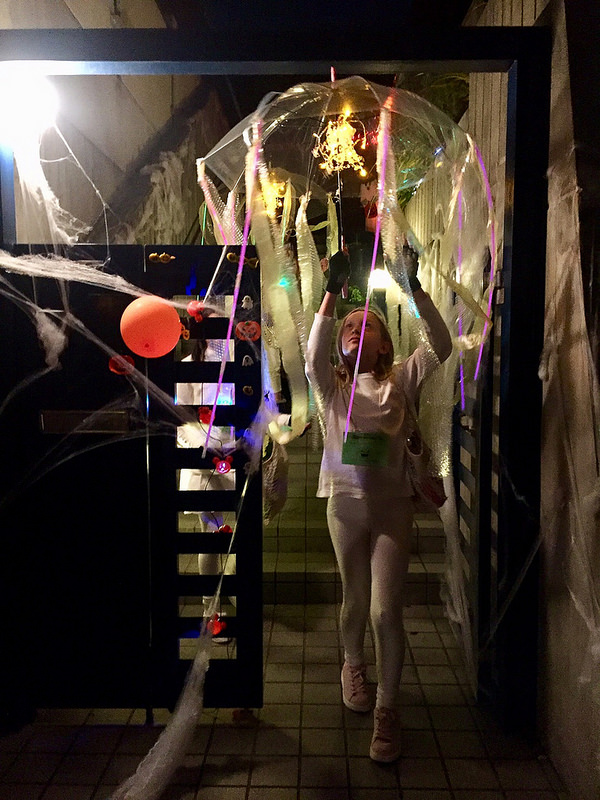 45588310952_f2048d3260_c