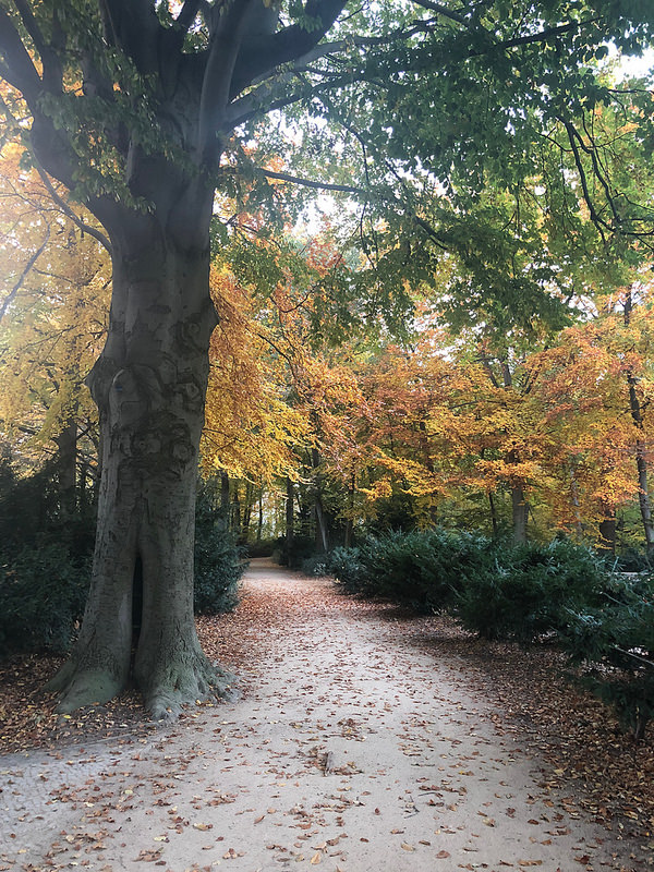 30855336947_5d29c3b193_c